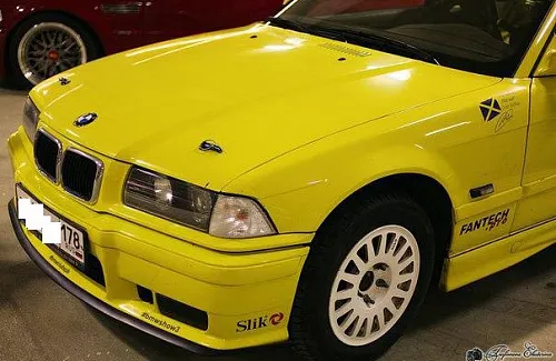 MS8